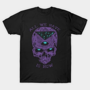 "ALL WE HAVE IS NOW" T-Shirt